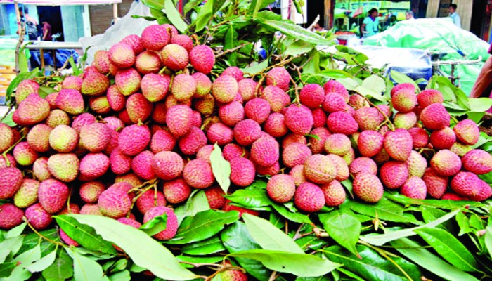 রাজশাহীর বাজারে রসে ভরা লিচু মন কাড়ছে ক্রেতাদের