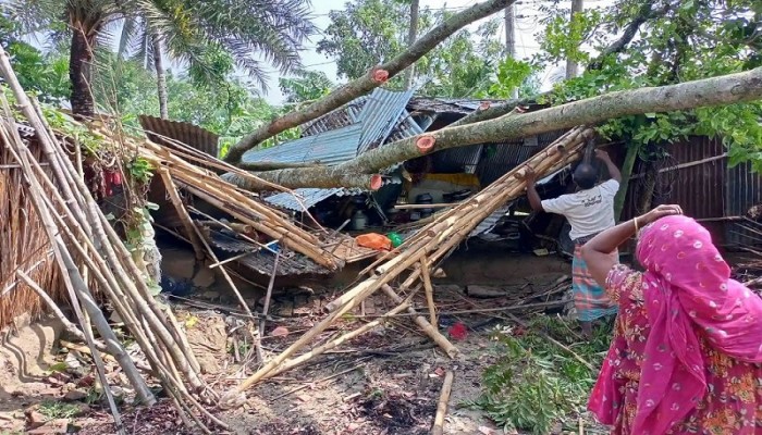 রাজশাহীর বাঘায় কালবৈশাখী ঝড়ের তান্ডবে ব্যাপক ক্ষয়ক্ষতি