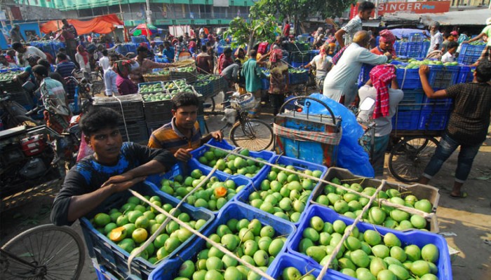 রাজশাহীতে মেতেছে  আম বাজার