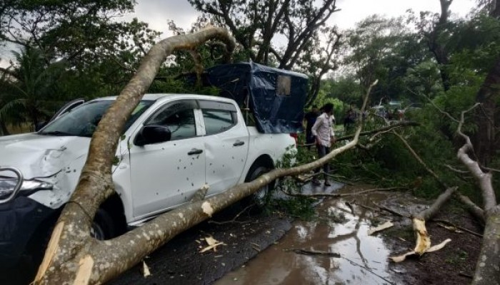 ঝড়ে ইউএনওর গাড়ির ওপর ভেঙে পড়ল গাছ