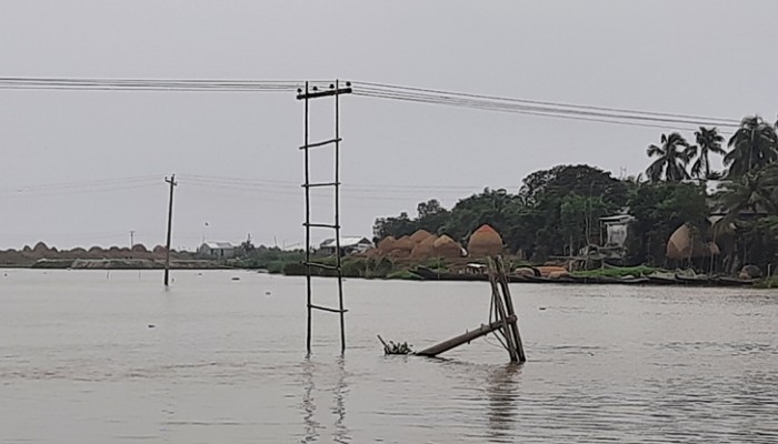 বিদ্যুতের খুঁটির পরিবর্তে বাঁশ!