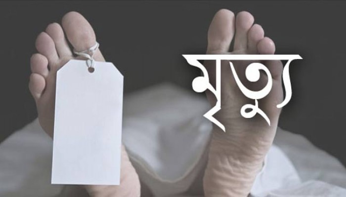 বুকে বাঁশ ঢুকে ভ্যানচালকের মৃত্যু