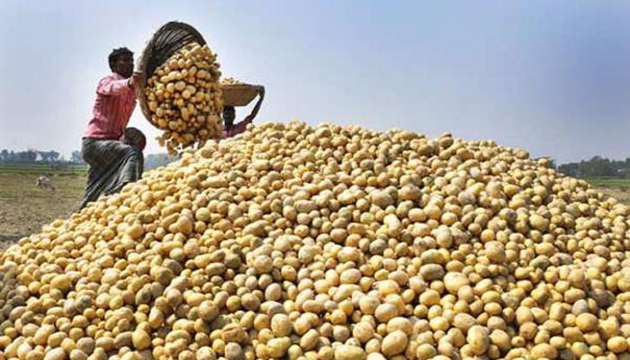 শ্রীলঙ্কায় আলু পাঠানোর কথা ভাবছে বাংলাদেশ