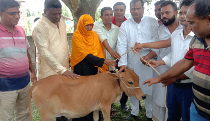 মোহনপুরের মৌগাছীতে হতদরিদ্রদের মাঝে জিপিএস’র গরু বিতরণ