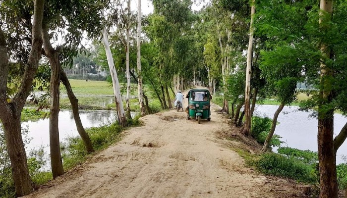 আত্রাইয়ে দুই বছরেও সংস্কার হয়নি বন্যায় বিধ্বস্ত সড়ক