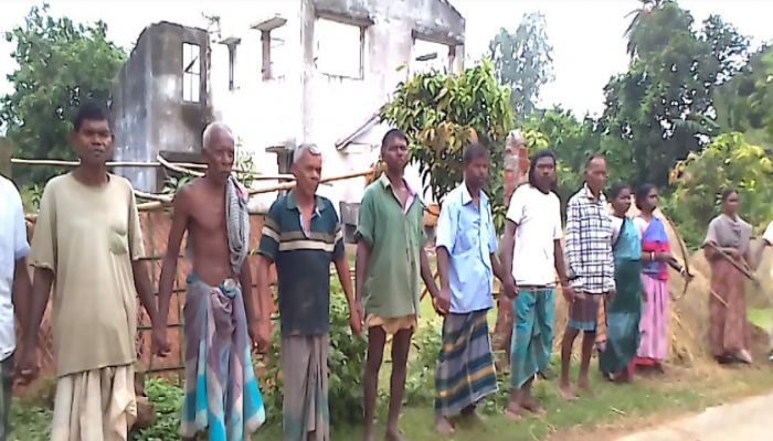 বিরামপুরে আদিবাসীদের মানববন্ধন