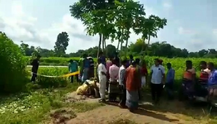 পাটক্ষেতে সপ্তম শ্রেণির ছাত্রের মরদেহ উদ্ধার