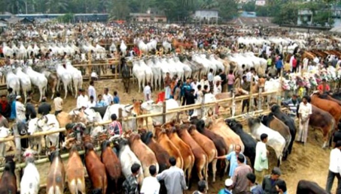 কুরবানি ঈদ ঘিরে বসবে ৪৪০৭ পশুর হাট, মাস্ক ছাড়া প্রবেশ নিষিদ্ধ