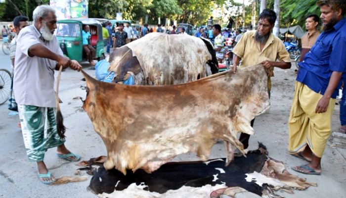 রাজশাহীতে নামমাত্র মূল্যে চামড়ার বেচাকেনা