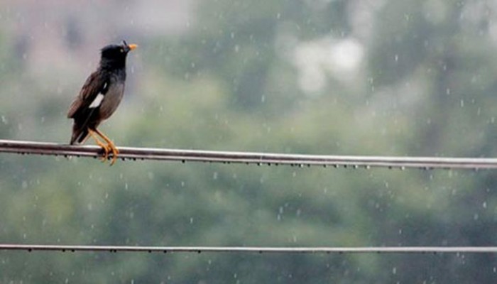 মেঘলা আকাশসহ হালকা বৃষ্টি হতে পারে