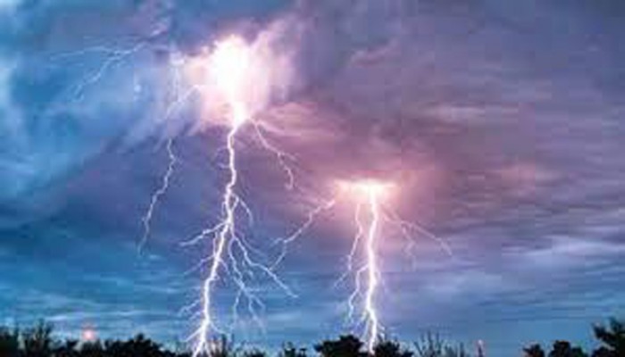 নওগাঁর পত্নীতলায় বজ্রপাতে দুটি গরুসহ এক কিশোরের মৃত্যু