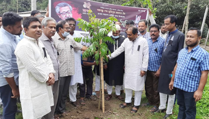 পুঠিয়ায় জাতীয় শোক দিবস উপলক্ষে বৃক্ষরোপন