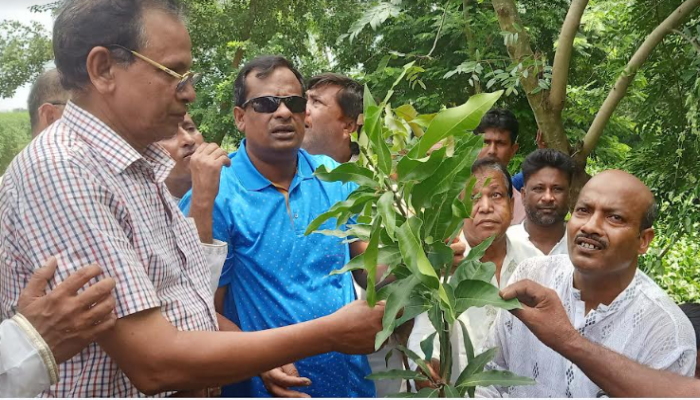 মোহনপুরে জাতীয় শোক দিবস উপলক্ষে বৃক্ষ  রোপন করলেন এমপি আয়েন উদ্দিন