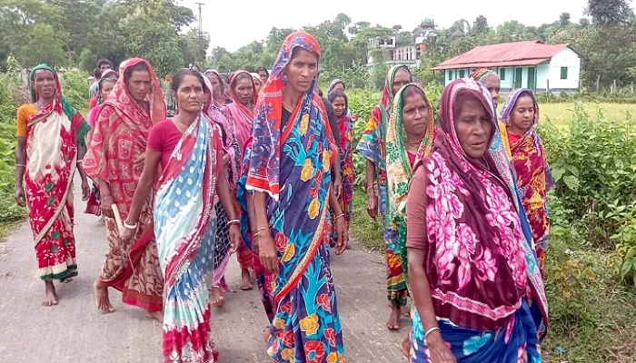 শ্রমিকদের উচ্ছ্বাসে প্রাণ ফিরেছে চা বাগানে