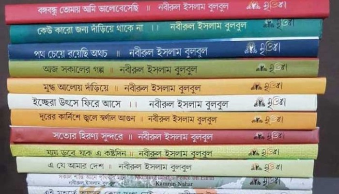 তালিকায় একজনের ২৯ বই নিয়ে যা বললেন জনপ্রশাসন সচিব