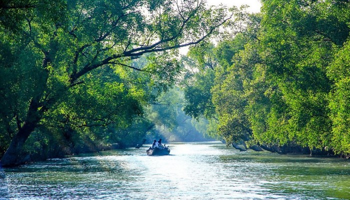 উন্মুক্ত হলো সুন্দরবন