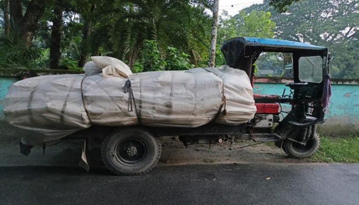 বাঘায় সার পাচারের সময় ৭০ বস্তা সার আটক, ডিলারসহ দুই জনের বিরুদ্ধে মামলা