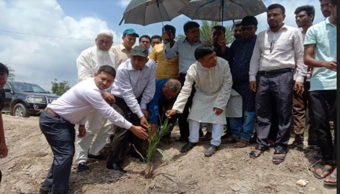 লালপুরে খেজুর গাছের চারা ও বীজ রোপন কর্মসূচির উদ্বোধন