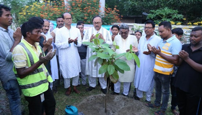 প্রধানমন্ত্রীর জন্মদিনে রাসিকের পরিবেশ শাখার আয়োজনে বৃক্ষরোপণ কর্মসূচি