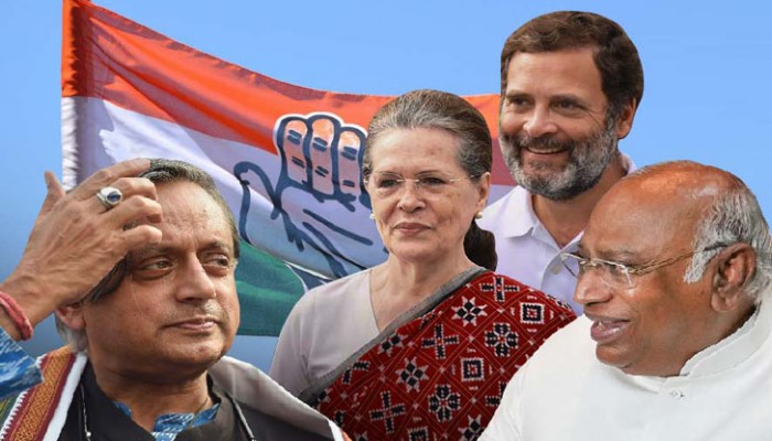 বড় ব্যবধানে জিতে ‘সোনিয়া-অনুগত’ খড়গেই কংগ্রেস সভাপতি