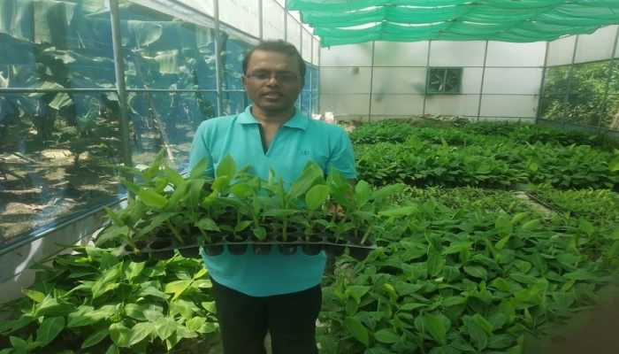 রাবি গবেষকের উদ্ভাবিত কলা রপ্তানি করে বৈশেদিক মুদ্রা অর্জনের সম্ভাবনা