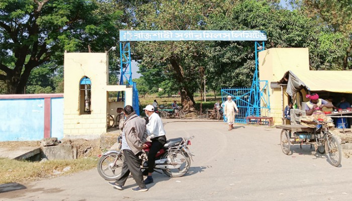 ১৪ দিন আগেই রাজশাহী সুগার মিলের আখ মাড়াই বন্ধ