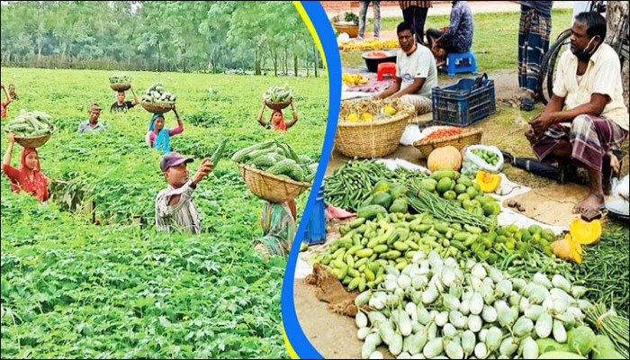 কৃষিপণ্যের পুষ্টিমান উন্নয়নের উদ্যোগ