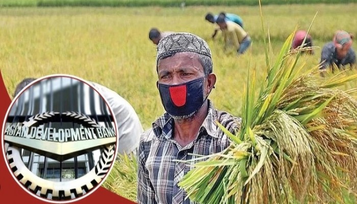 কৃষি সম্প্রসারণে ২৫৬ কোটি টাকা দেবে এডিবি