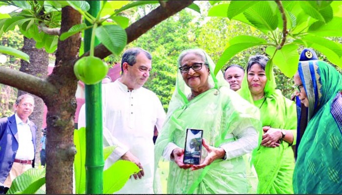 প্রত্যেকে অন্তত একটি করে গাছ লাগান :বিশ্ব পরিবেশ দিবসে শেখ হাসিনা