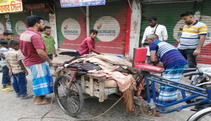 মন্ত্রীর হুমকিতেও দাম বাড়েনি গরুর চামড়ার, ছাগলেরটি ফ্রিতেও নেয় না