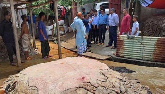 দেশ থেকে চামড়া পাচারের সুযোগ নেই বাণিজ্য সচিব