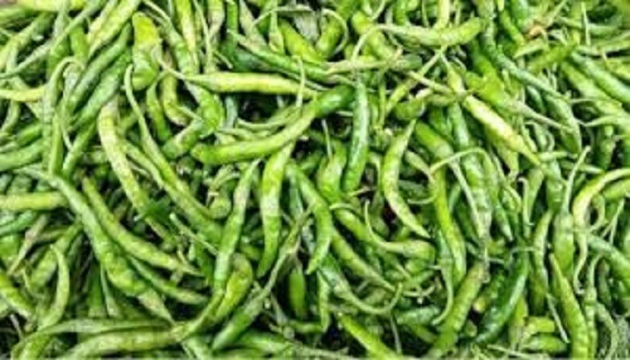 কাঁচামরিচের দাম কমতে শুরু করেছে