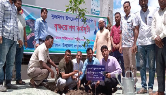 সুজানগর উপজেলা প্রশাসনের আয়োজনে উপজেলার গুরুত্বপূর্ণ বিভিন্ন স্থানে বছরব্যাপী বৃক্ষ রোপণ কর্মসূচির উদ্বোধন