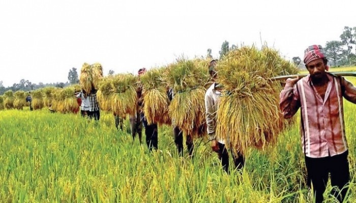 ৩৫ হাজার কোটি টাকা ঋণ পাবে কৃষক