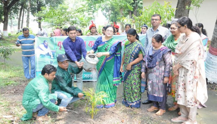 রাজশাহী সরকারি মহিলা কলেজের উদ্যোগে বৃক্ষ রোপন কর্মসূচি