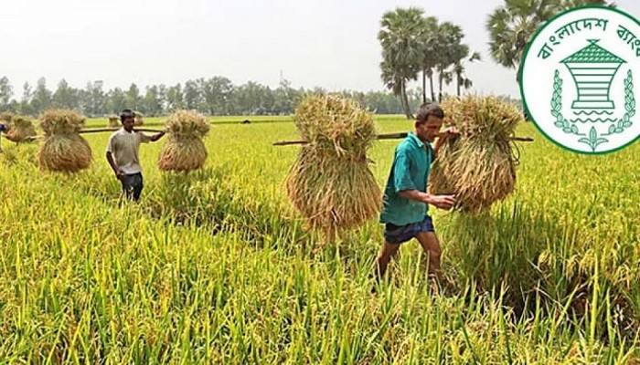 জুলাইয়ে ২ হাজার কোটি টাকার কৃষিঋণ বিতরণ