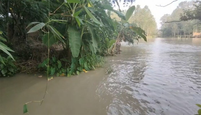 সিরাজগঞ্জে যমুনার পানি বিপৎসীমার উপরে