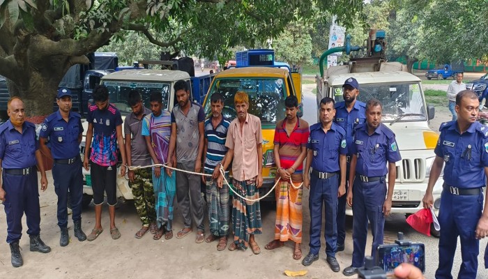 চাঁপাইনবাবগঞ্জ জেলার গরু, চুরি করায় ০৭ (সাত) জন আসামি  গ্রেফতার