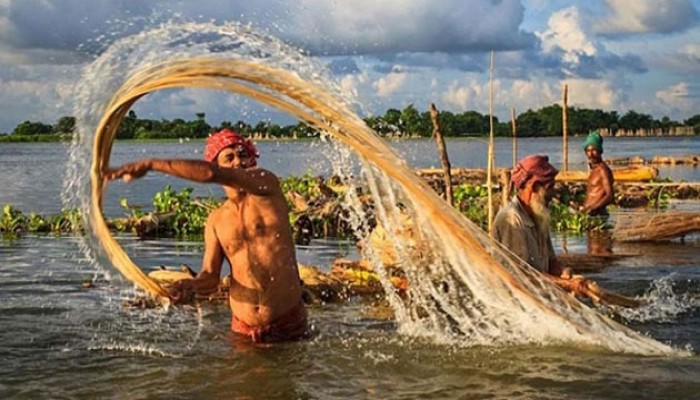 রাজশাহীতে পাটের দাম নির্ধারণেও সিন্ডিকেট