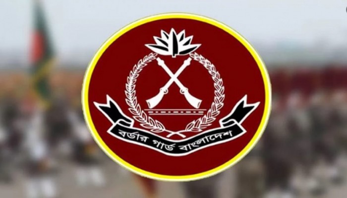 আগস্টে বিজিবির অভিযানে ২১৫ কোটি টাকার পণ্যসামগ্রী জব্দ