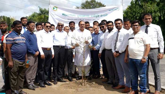 নগরীর সড়ক বিভাজকে লংকাবাংলার বৃক্ষরোপণ কার্যক্রমের উদ্বোধন