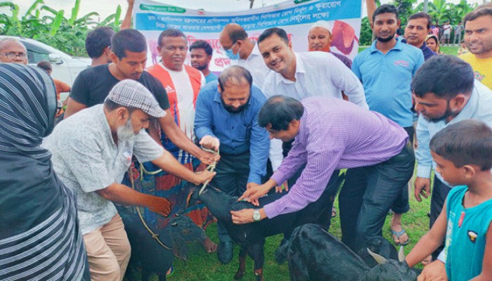 পবায় পিপিআর রোগ নির্মূলে বিনামূল্যে টিকা ক্যাম্পেইনের উদ্বোধন