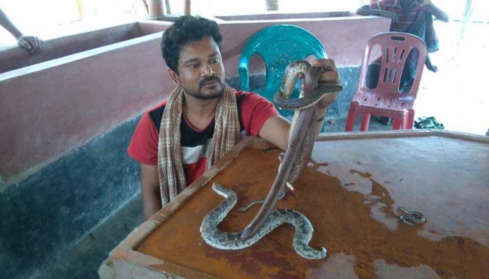 সাপুড়ে থেকে সাপ গবেষক! বন্ধুর পথ মাড়িয়ে নতুন দিগন্তে সাপ রক্ষার আন্দোলন