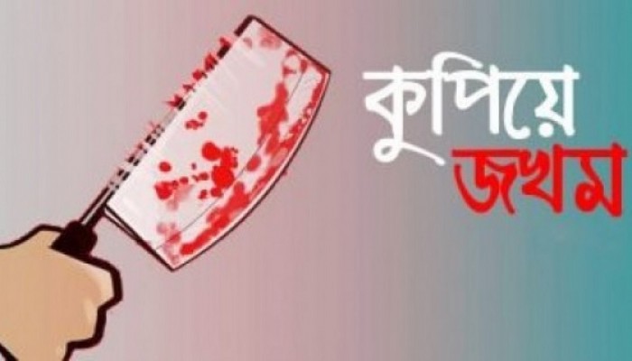 বাঘায় প্রশাসন পরিচয়ে পল্লী চিকিৎসককে তুলে নিয়ে কুপিয়ে জখম