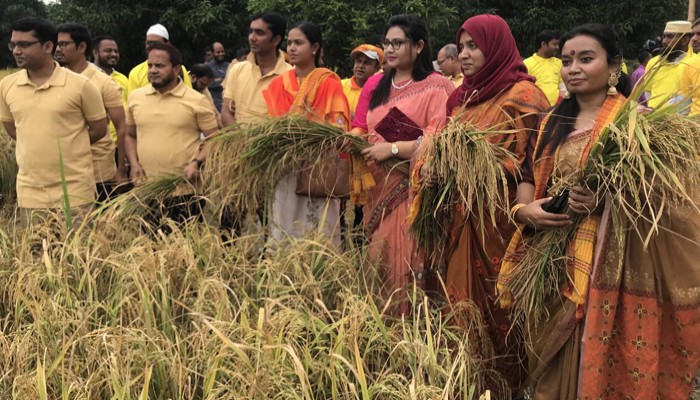 বাঘায় নবান্ন উৎসবে ধান কাটার উদ্বোধন করেন ইউএনও