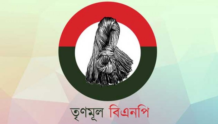 মনোনয়ন দাখিল না করে আত্মগোপনে তৃণমূল বিএনপির ৫ প্রার্থী