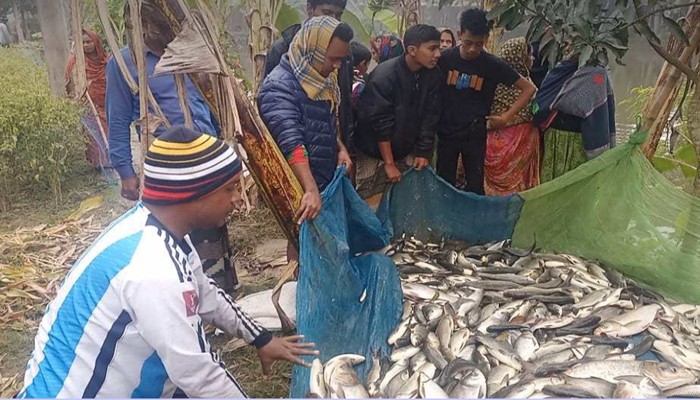 দুর্গাপুরে স্বতন্ত্র প্রার্থীর পক্ষে ভোট করায় পুকুরে বিষ প্রয়োগ করে মাছ নিধন