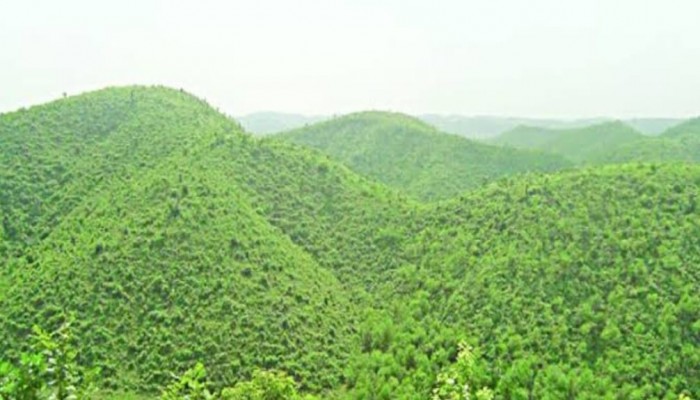 জীববৈচিত্র্য ফিরে পাচ্ছে শেরপুরের গারো পাহাড়