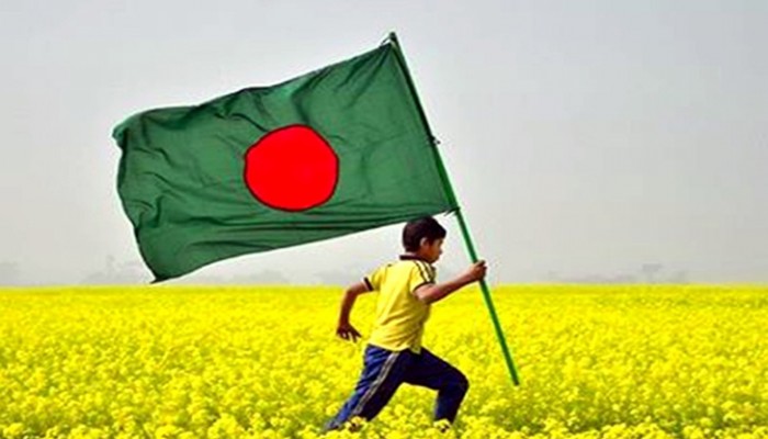 স্বাধীনতা মানে কী