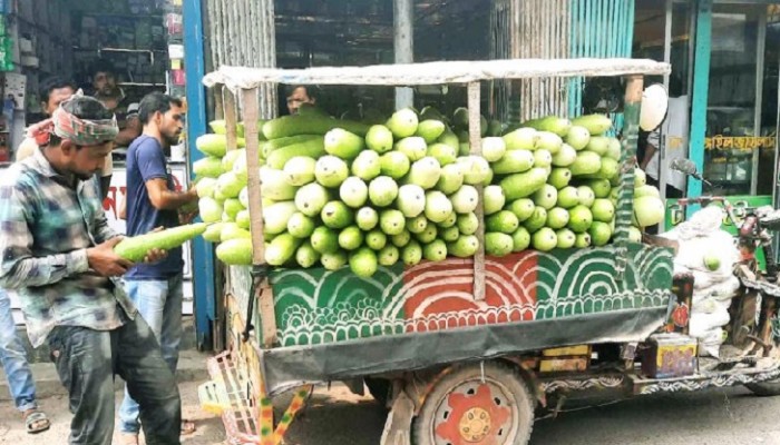 দেড় টাকার লাউ খুচরা বাজারে ৫০ টাকা